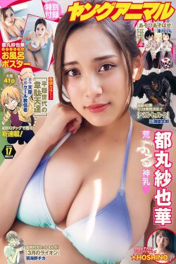 大清神捕 电视剧